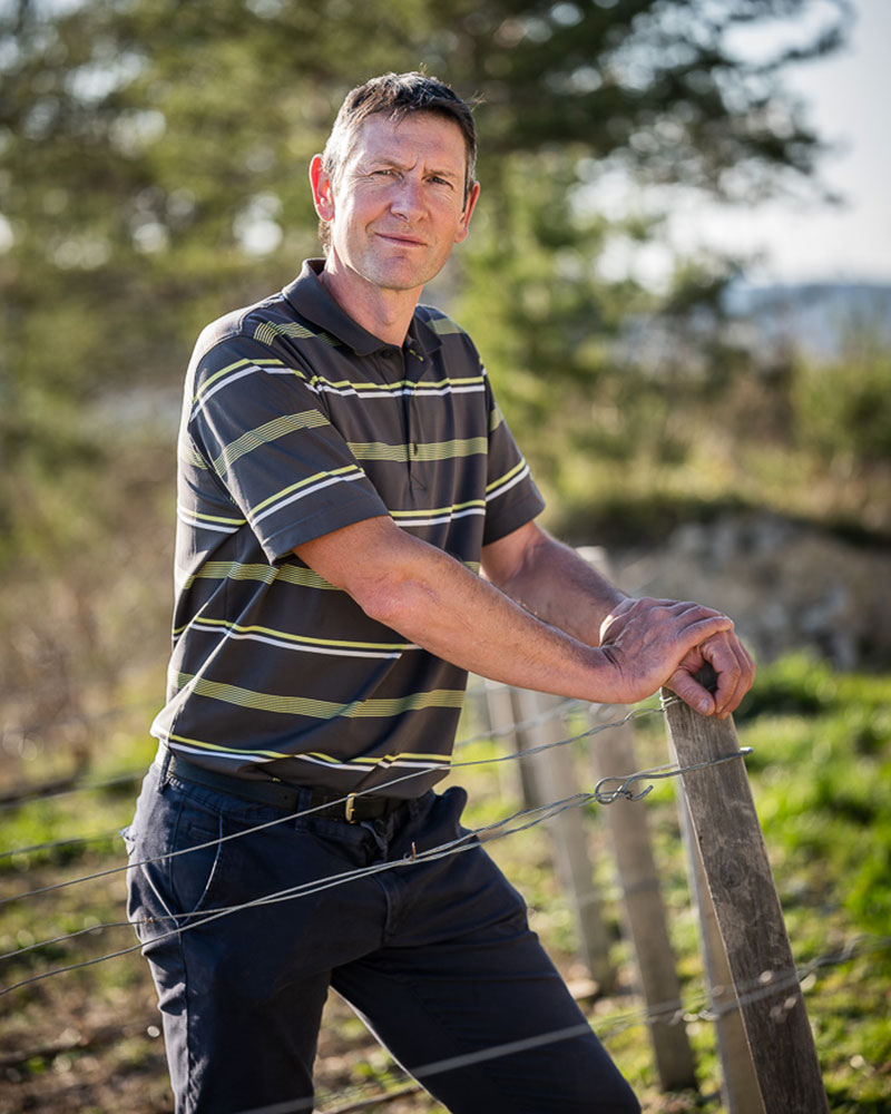 Les-Dames-des-Vignes—Neuville-sur-Seine—Benoit-Rousseau